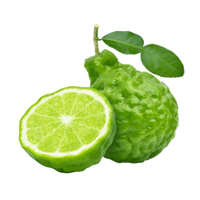 Ingredient