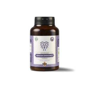 HERICUM ERINACEUS K (70G)