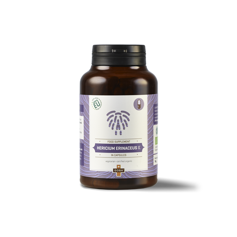 HERICUM ERINACEUS K (70G)