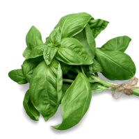 Ingredient