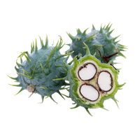 Ingredient