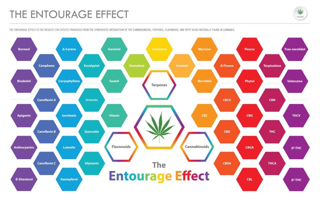 I. Introduction to the Entourage Effect