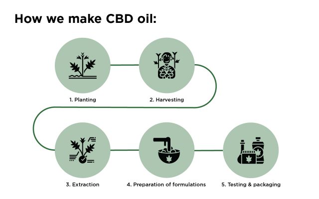 How CBD oil is made