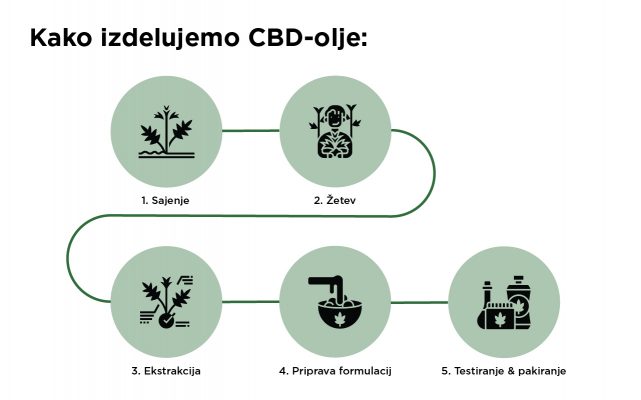 How CBD oil is made