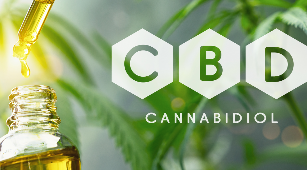 Aceite de CBD 2019 : ¿De qué se trata todo el alboroto?: Deshágase de todos  los conceptos erróneos sobre el cáñamo y la marihuana, aprenda qué buscar  al comprar CBD, y cómo