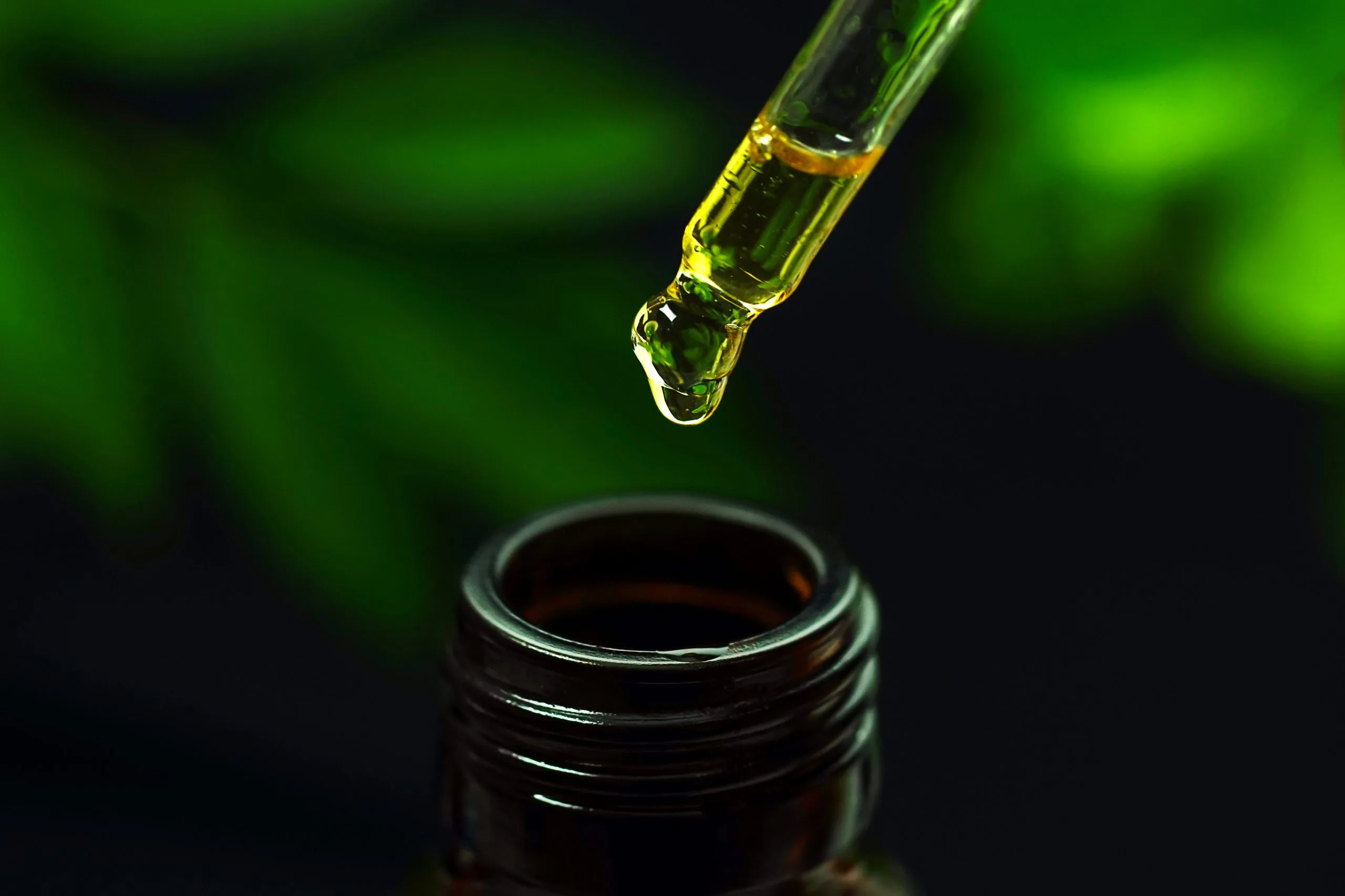 CBD Oil vs CBD Tincture