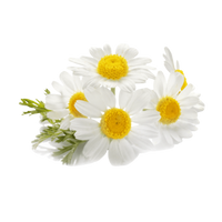 Ingredient