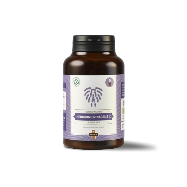HERICUM ERINACEUS K (70G)
