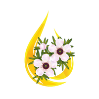 Ingredient