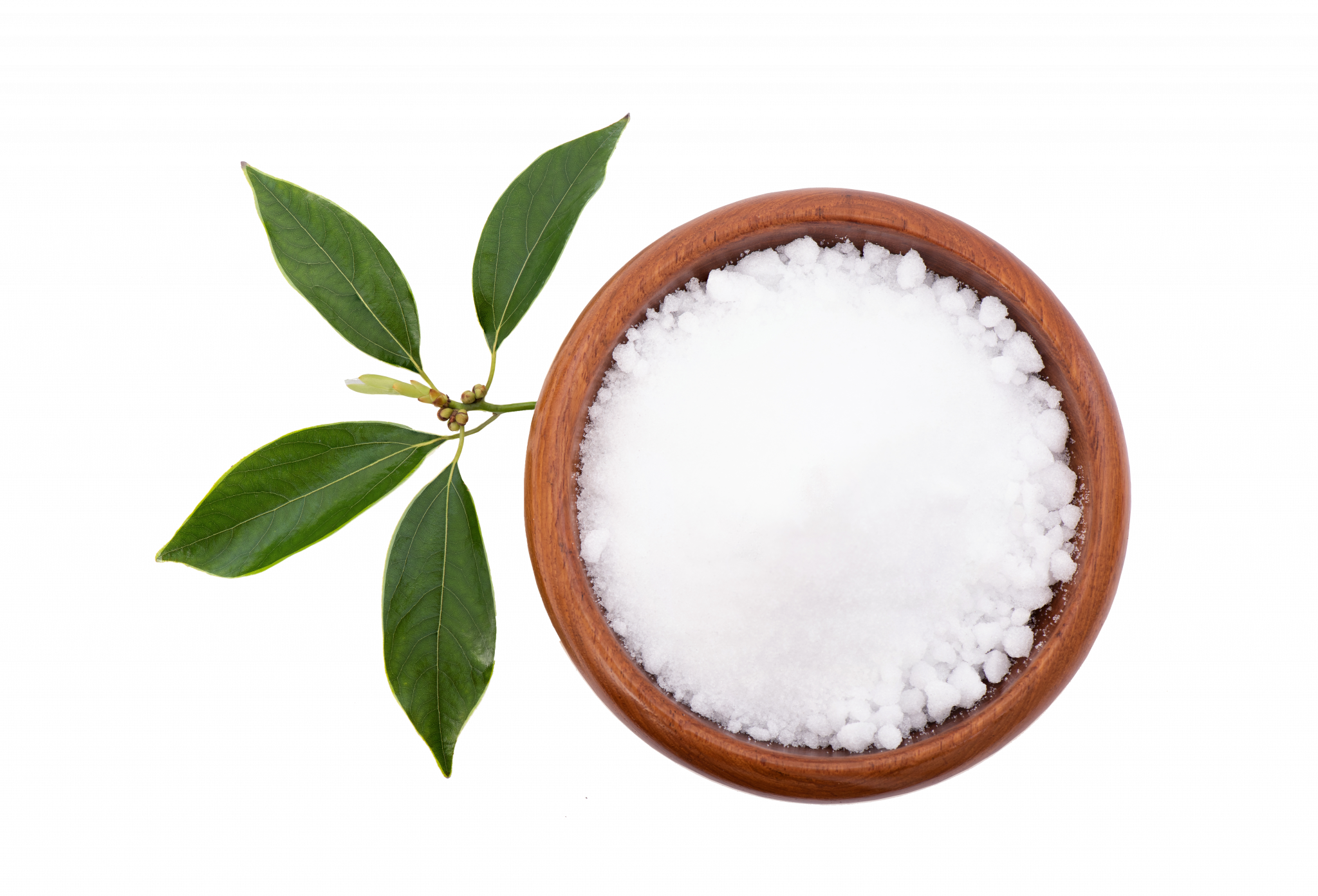 Camphor