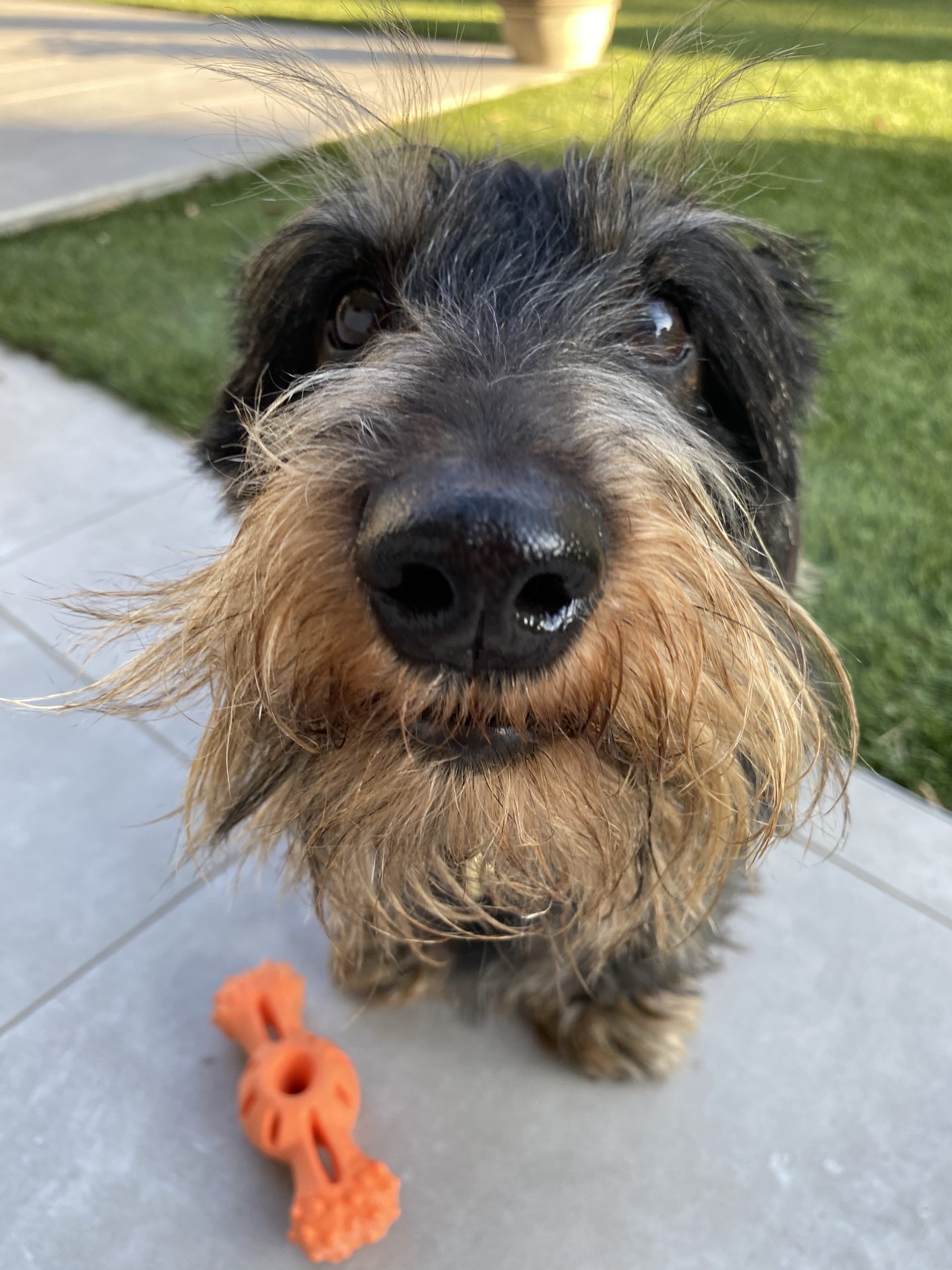 Charlie