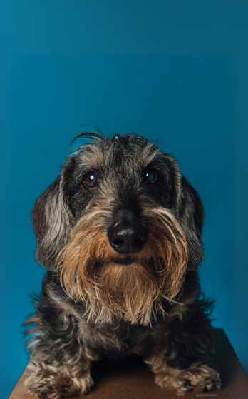 Charlie