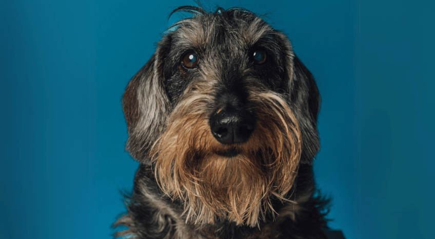 Charlie